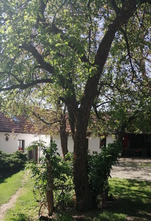 Keramicky A Vytvarny Atelier Konesin 外观 照片